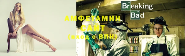 амф Щигры