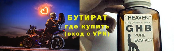 прущие грибы Краснотурьинск