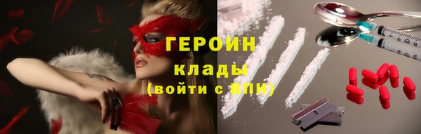 прущие грибы Краснотурьинск
