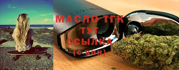 амф Щигры
