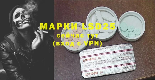 прущие грибы Краснотурьинск