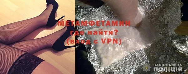 прущие грибы Краснотурьинск