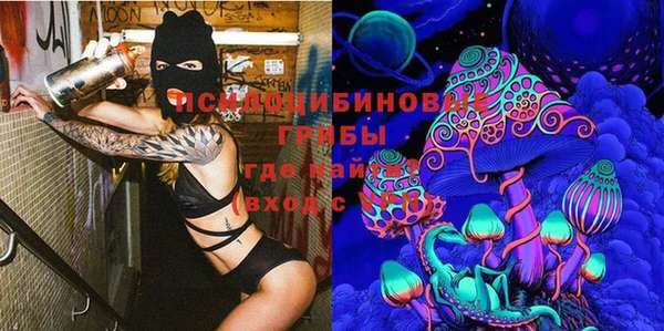 ГАЛЛЮЦИНОГЕННЫЕ ГРИБЫ Краснослободск